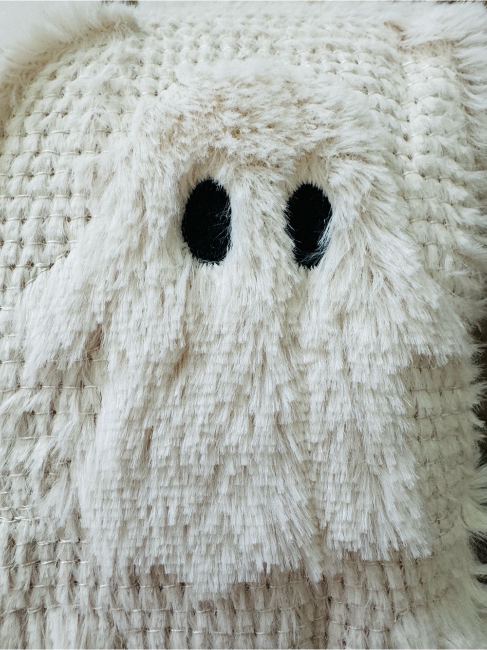 Costco Faux Fur Ghost Embroidered Halloween Fall
Throw Blanket New Viral - Picture 4 of 8